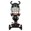 Bicicleta pentru copii  Caretero Tricicleta Caretero BUZZ RED TOYZ-0333 