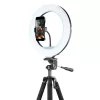 Штатив  Proove Tripod cu Lampa Circulara Cellularline Ring Light Master 13", Black 