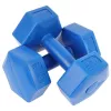Haltera  ENERO Гантель Enero Composite Dumbs 2x2kg 