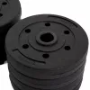 Haltera  Zipro Набор гантелей и штанг Zipro Barbell and dumbbells set 20kg (13112317) 