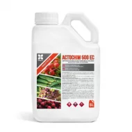 Insecticide