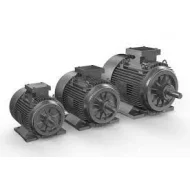 Motoare electrice
