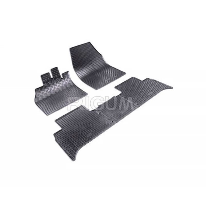 Covorase auto salon Rigum RENAULT SCENIC, GRAND SCENIC 09- 5DIL TUNEL