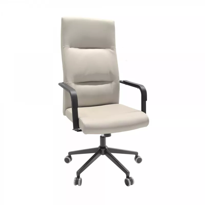 Fotoliu de birou DP FOTOLIU BIROU REMO~GREY