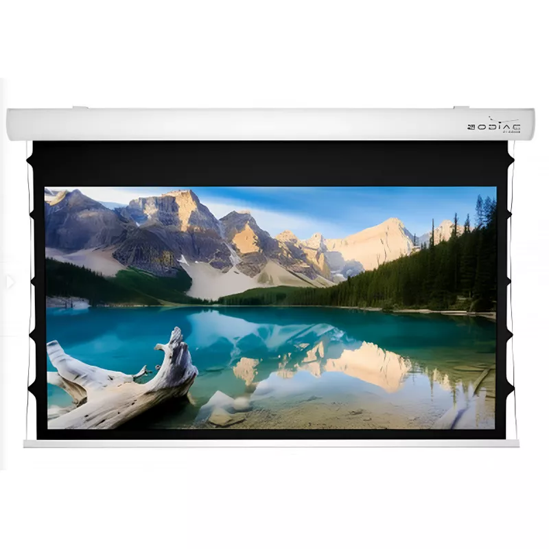 Экран для проектора SOPAR TAURUS TENSIONED TELA MICRO-PERFORATED 110" (16:9) 52441ZT-MY, 244x137cm