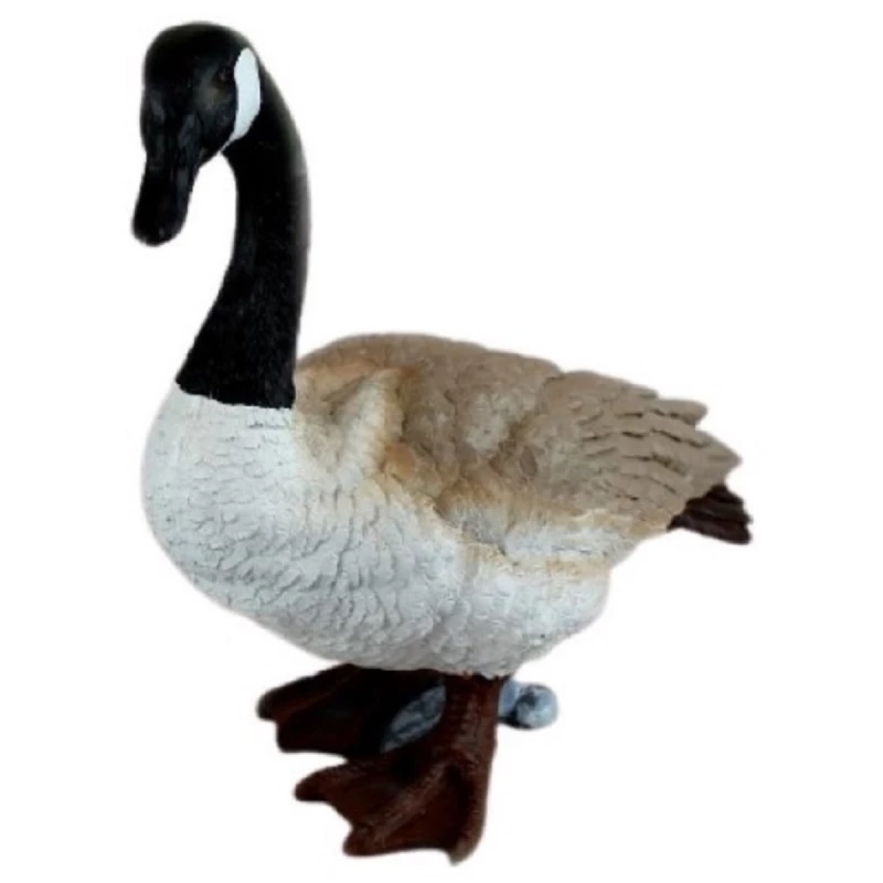 Decor Figuren Discounter GISCTE CANADIANE 38X18X43CM 2,4KG