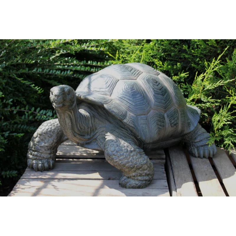 None ELEMENT DECOR TESTOASA 34X50X60CM 8KG