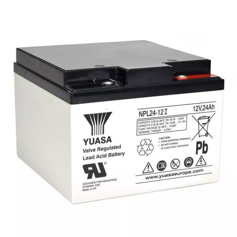 Baterie pentru UPS Yuasa NPL24-12I, 12V/24AH