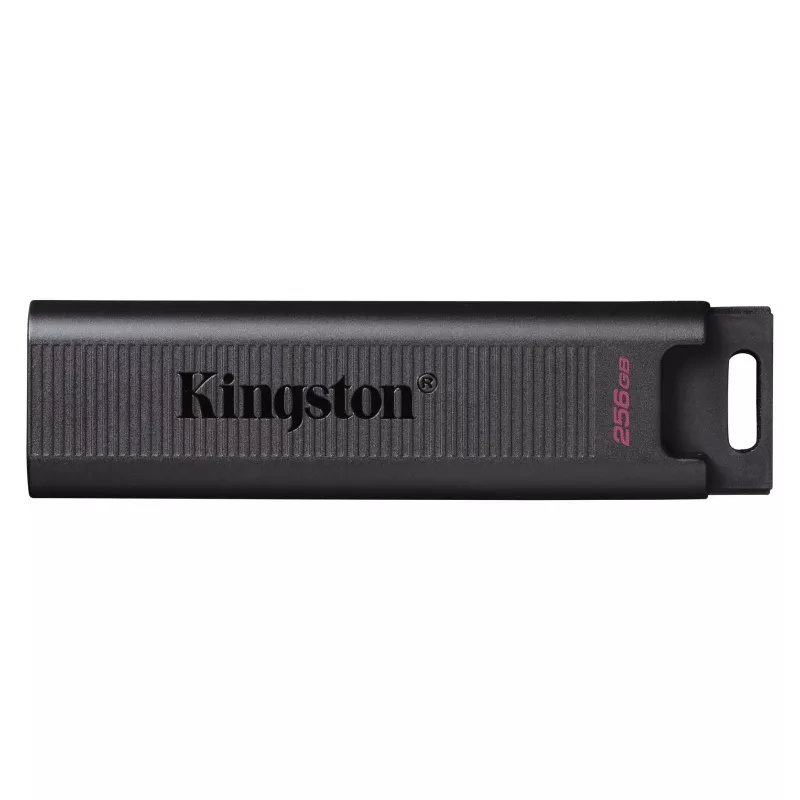 Флешка KINGSTON DATATRAVELER MAX (DTMAX/256GB), 256GB, USB-C