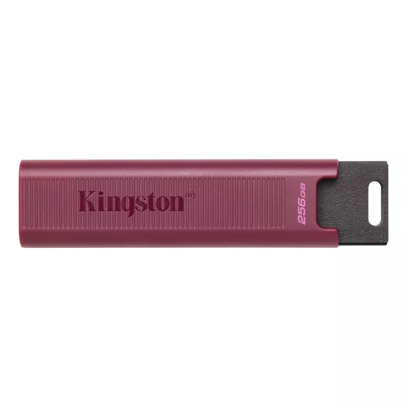 USB flash drive KINGSTON DATATRAVELER MAX (DTMAXA/256GB), 256GB, USB3.2
