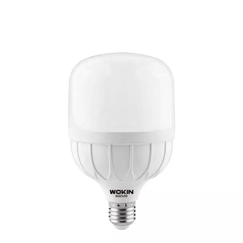 LED Лампа WOKIN E27, 30W, 6500K