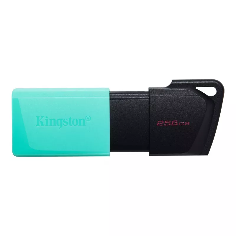 Флешка KINGSTON DATATRAVELER EXODIA M BLACK/BLUE (DTXM/256GB), 256GB, USB3.2