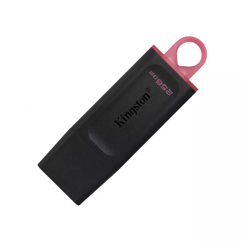 Флешка KINGSTON DATATRAVELER EXODIA (DTX/256GB)