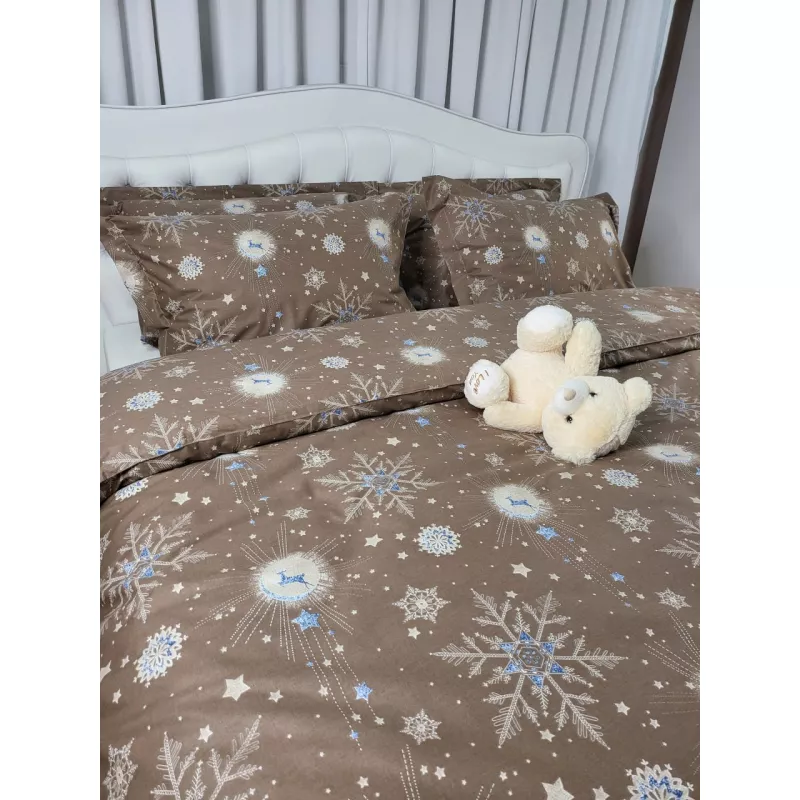 Lenjerie de pat LiLiMax

 NEW YEARS CAPPUCINO 240/260, 2 persoane Euro, Ranforce, Cappucino