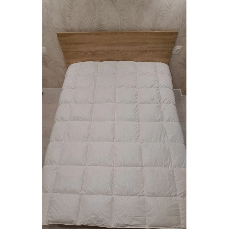 Plapuma CTEXTIL GROUP 
 90% PUF, Euro, Alb, 200x220