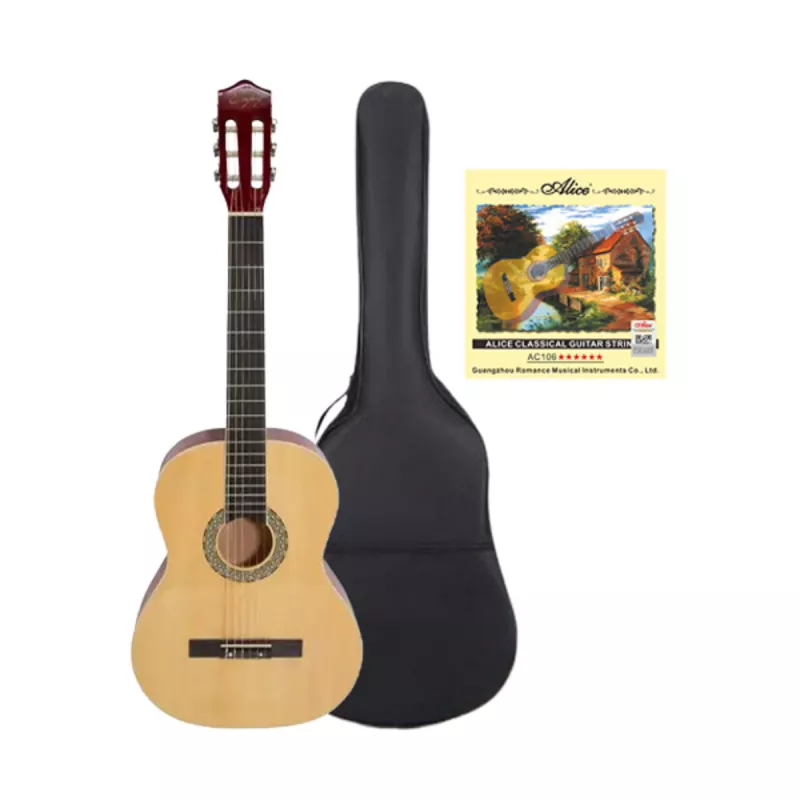 Гитара CM
 Набор 5 классическая ENJOY G3901 4/4 NT