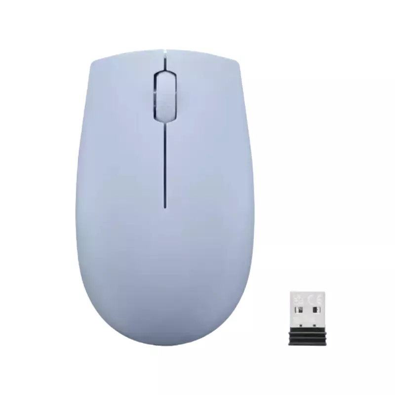 Mouse wireless LENOVO 300 Wireless Compact Mouse Frost Blue (GY51L15679)
