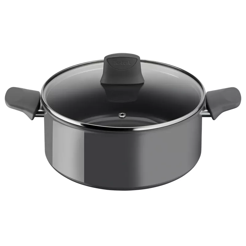 Cratita Tefal POT  C4264673
