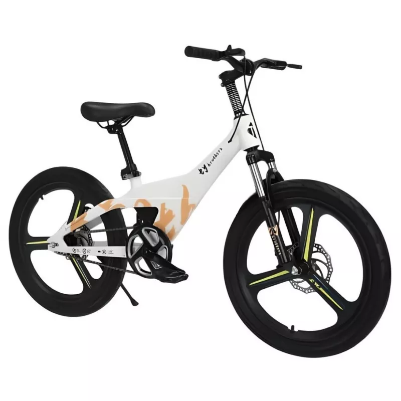 Bicicleta pentru copii TyBike ДЕТСКИЙ ВЕЛОСИПЕД  BK-09 20 WHITE