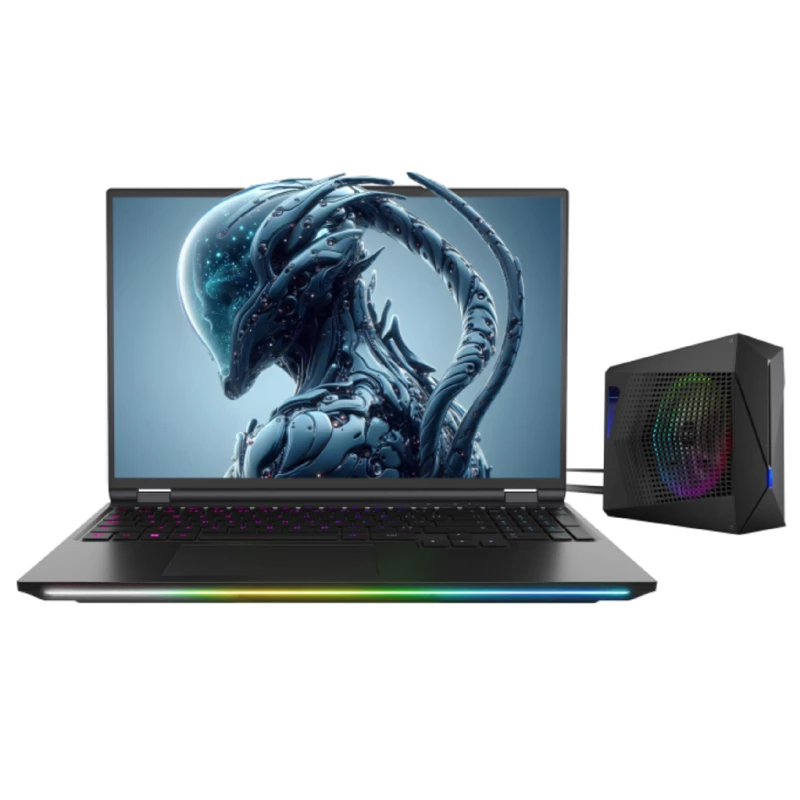 Laptop gaming Dreammachines X6AR559Y RX5090-16NA21 16.0" WQXGA IPS (2560x1600) 300Hz