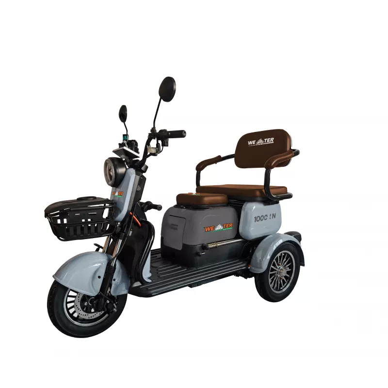 Bicicleta electrica Weter TRICICLETA ELECTRICA  1000 IN