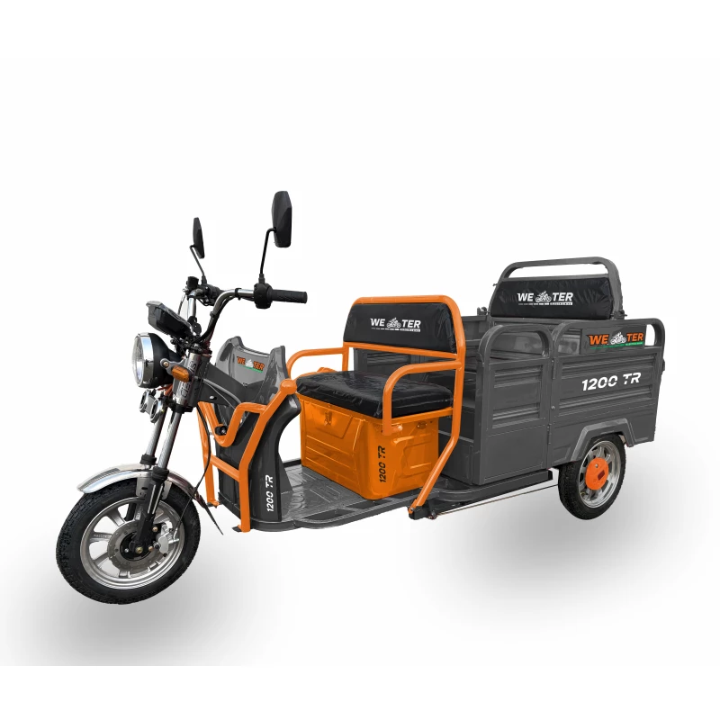 Bicicleta electrica Weter TRICICLETA ELECTRICA  1200 TR TRANSFORMER