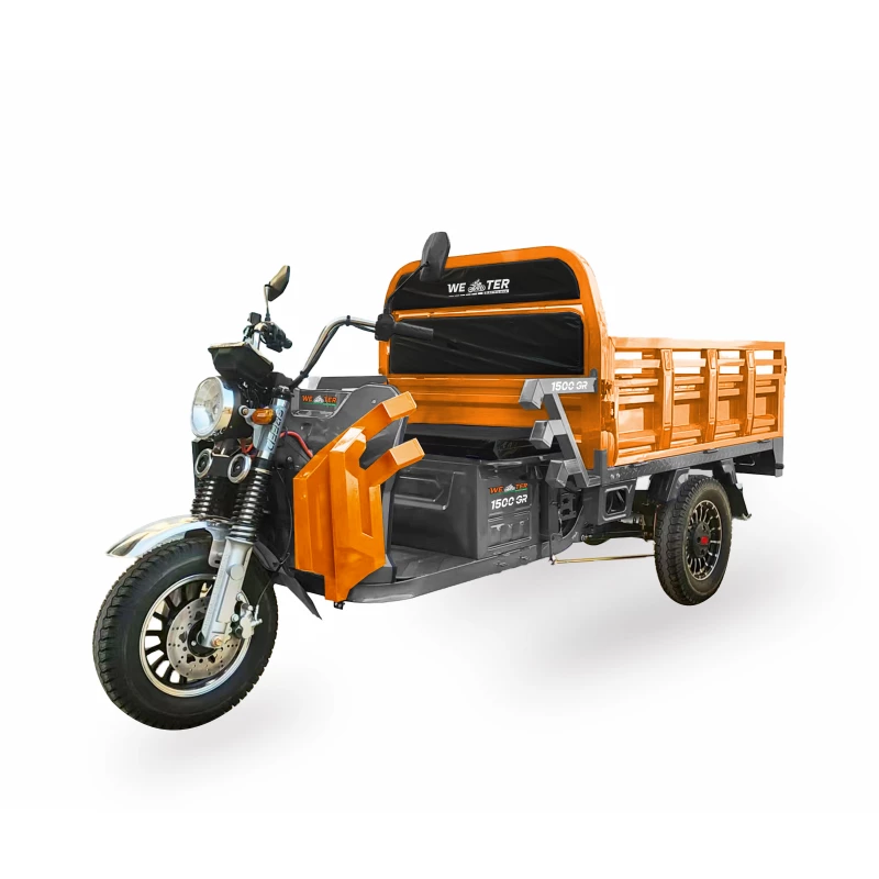 Bicicleta electrica Weter TRICICLETA ELECTRICA  1500 GR