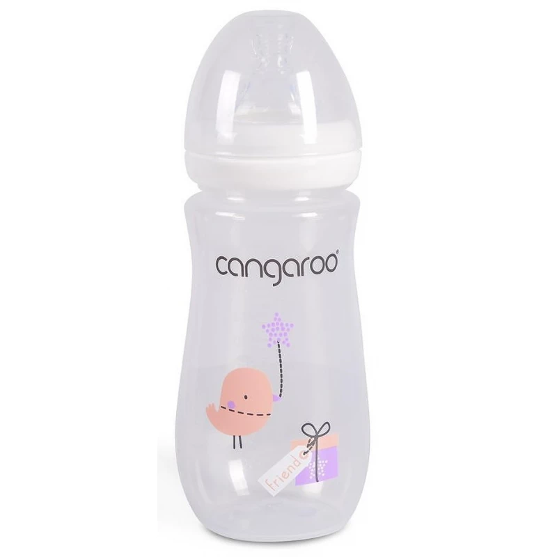 Biberon pentru bebelusi Cangaroo Бутылочка для кормления Cangaroo Birdy Blu Girl C0563 300ml