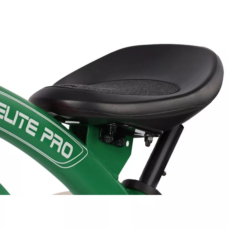 Bicicleta pentru copii QPlay Детский велосипед Qplay Elite Pro Green