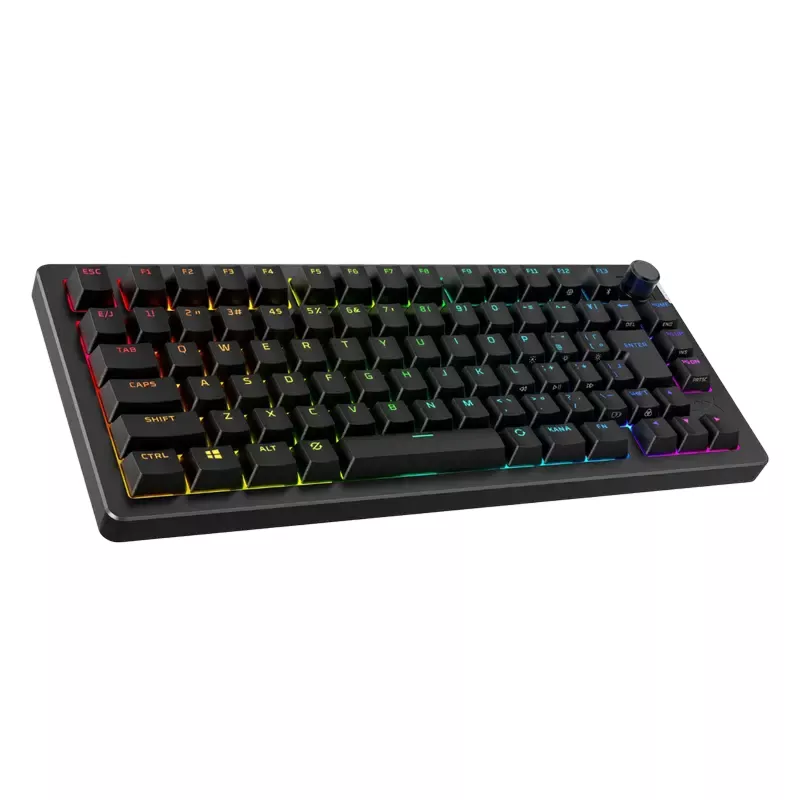 Gaming keyboard HyperX HyperX Alloy Rise 75, Black