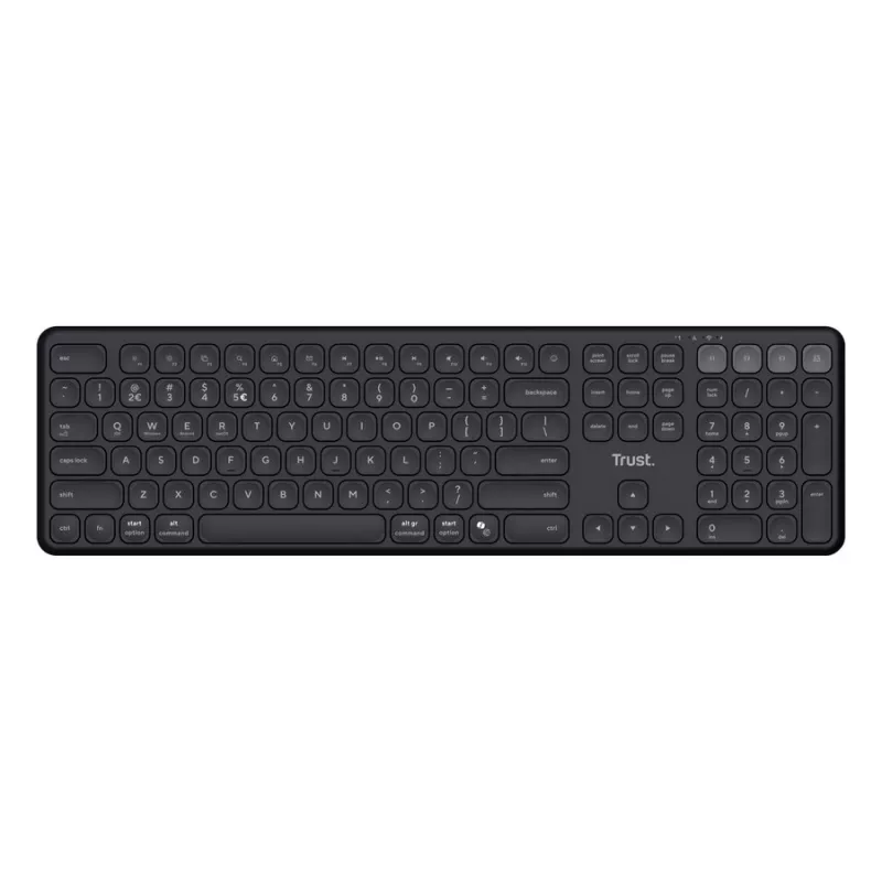 Gaming keyboard TRUST Trust Vaiya Multi-device Full-size wireless keyboard, RF 2.4GHz, Bluetooth, up to four devices at once, compact flat design, FN keys, USB-C, built-in rechargeable battery (one charge - up to 6 months non-stop), 560g, US, Black