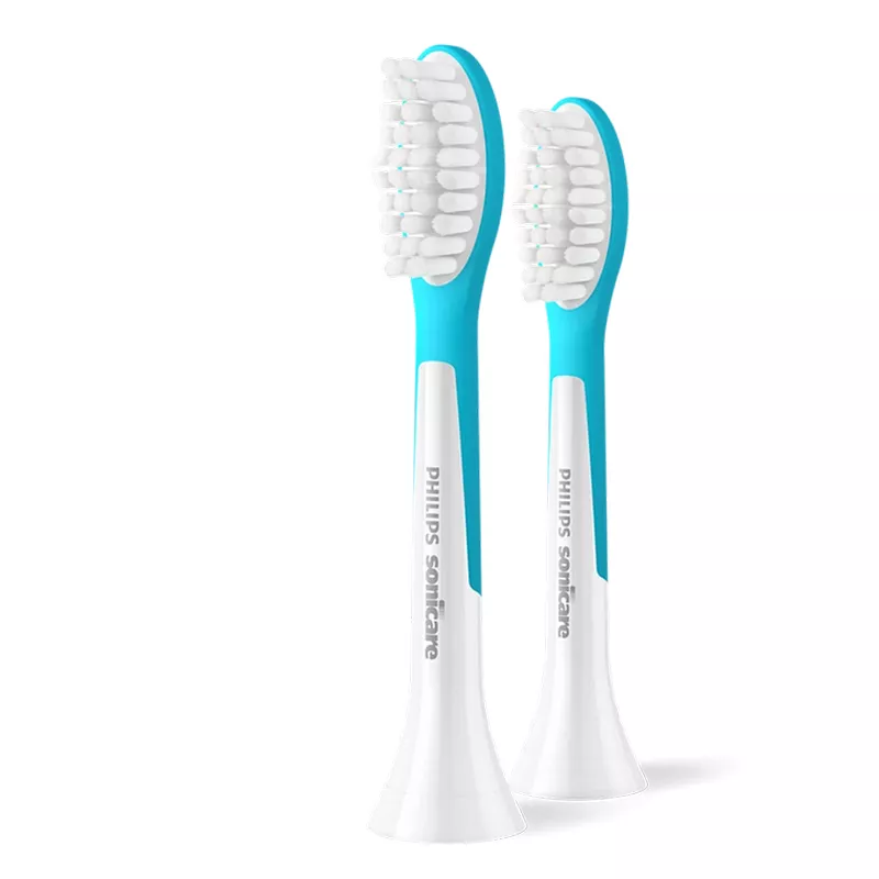 Periuta de dinti electrica PHILIPS Acc Electric Toothbrush Philips HX6042/90