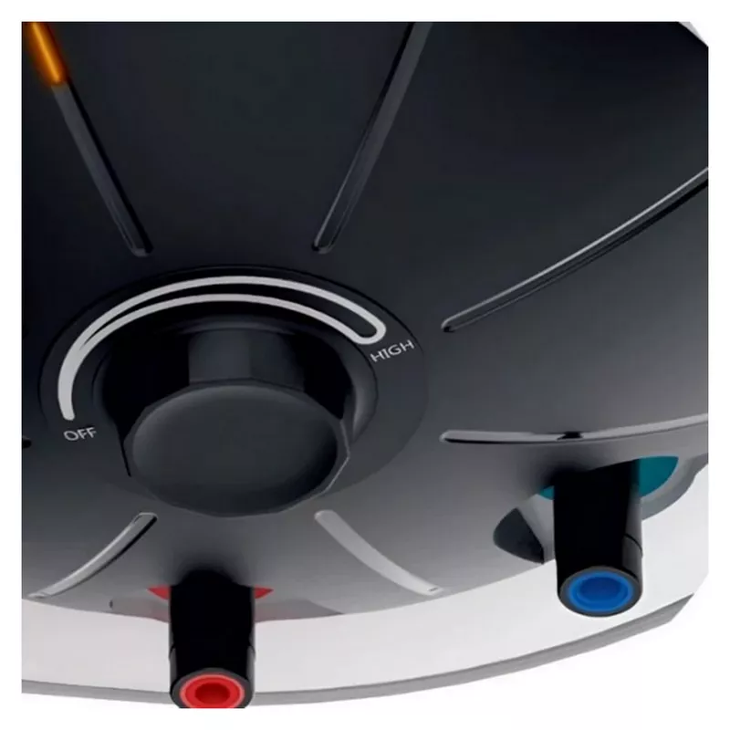 Boiler THERMEX Electric Water Heater THERMEX Ricco 100V